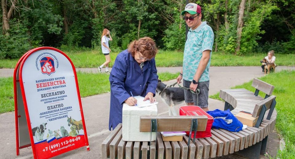 В парке Подольска собак и кошек привили от бешенства и чипировали