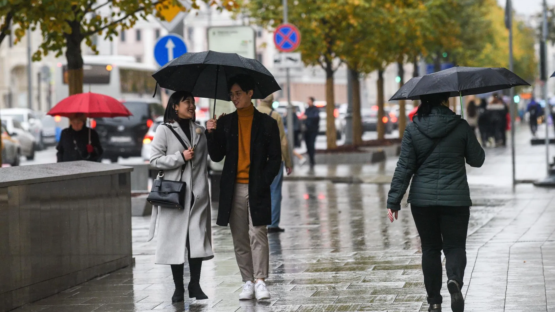 До 6 градусов тепла и дождь ожидается в Московском регионе во вторник