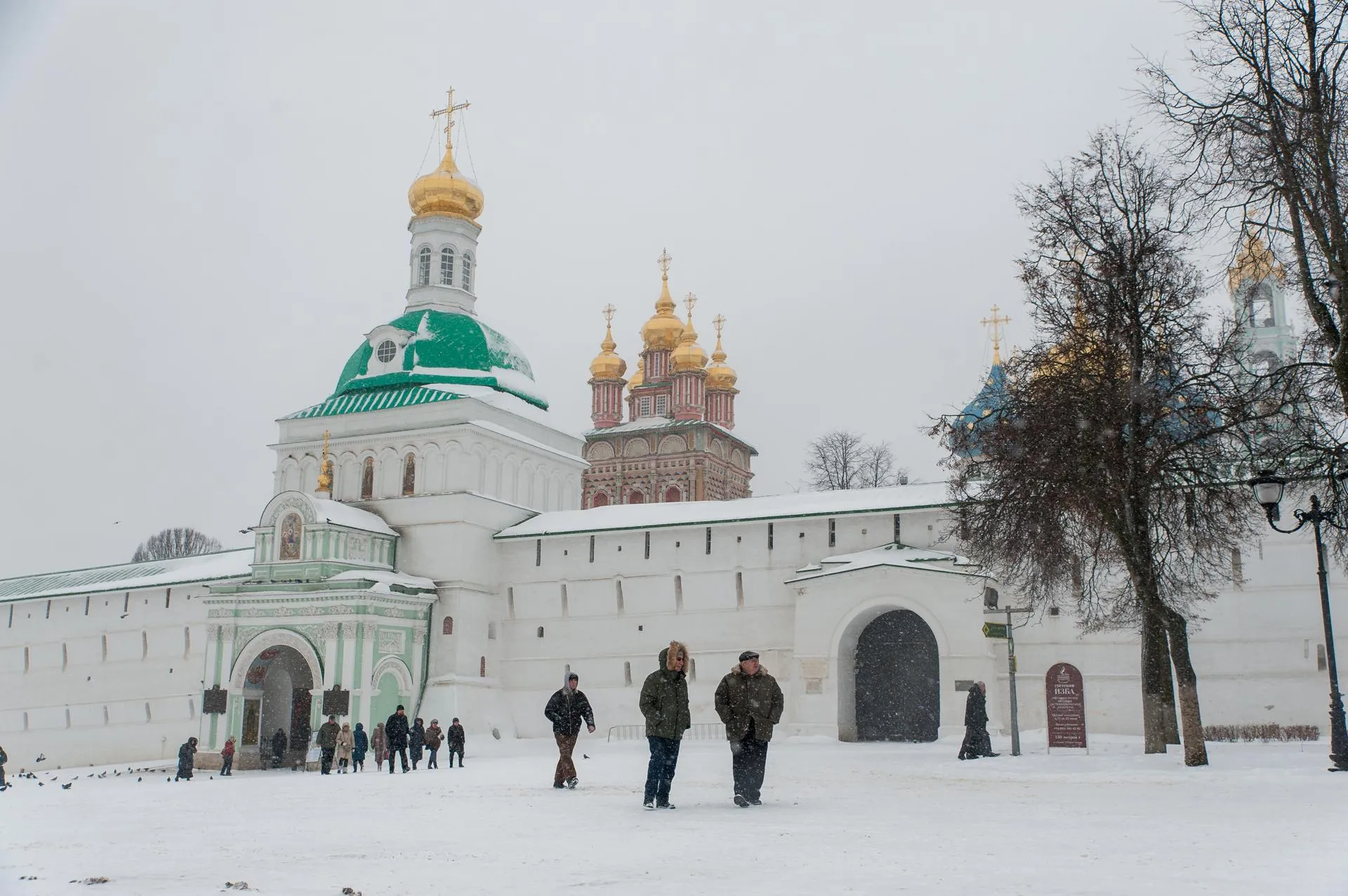 Светлана Володина