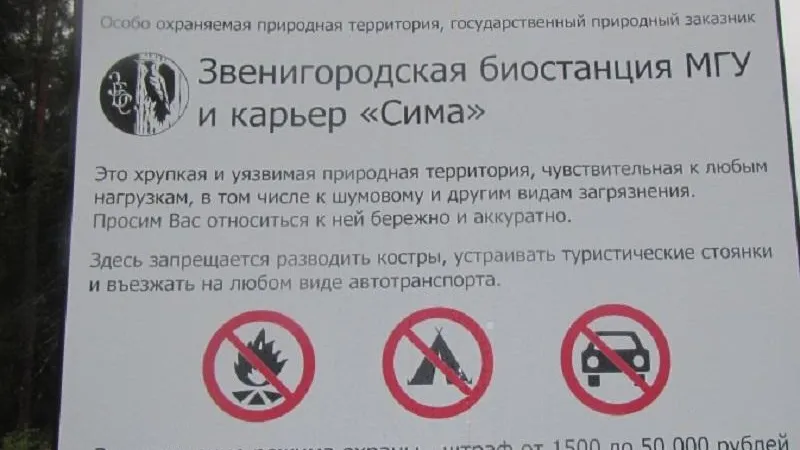 Природный заказник в Одинцовском округе важен для сохранения генофондов редких видов