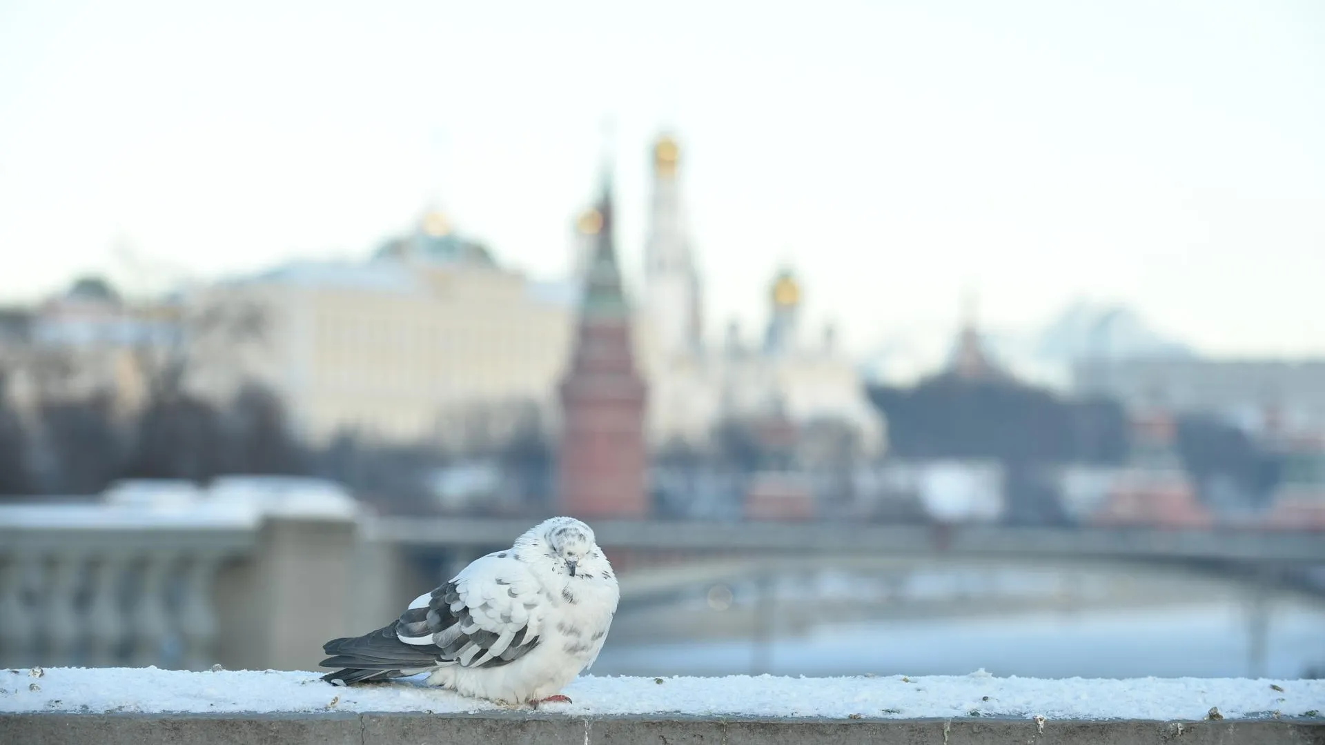 До минус 10 градусов может подморозить в центре России 30 декабря