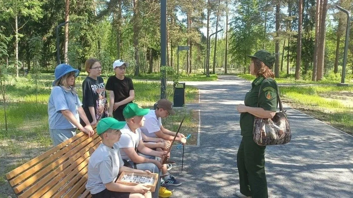 В Подмосковье запустили проект «Лесные лаборатории» для школьников
