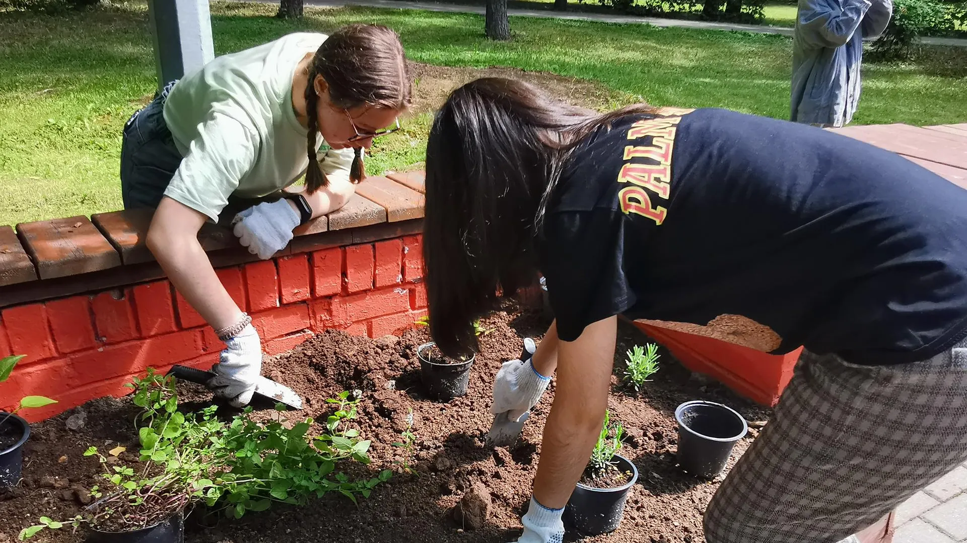 Экологический фестиваль пройдет в Королеве 23 июля