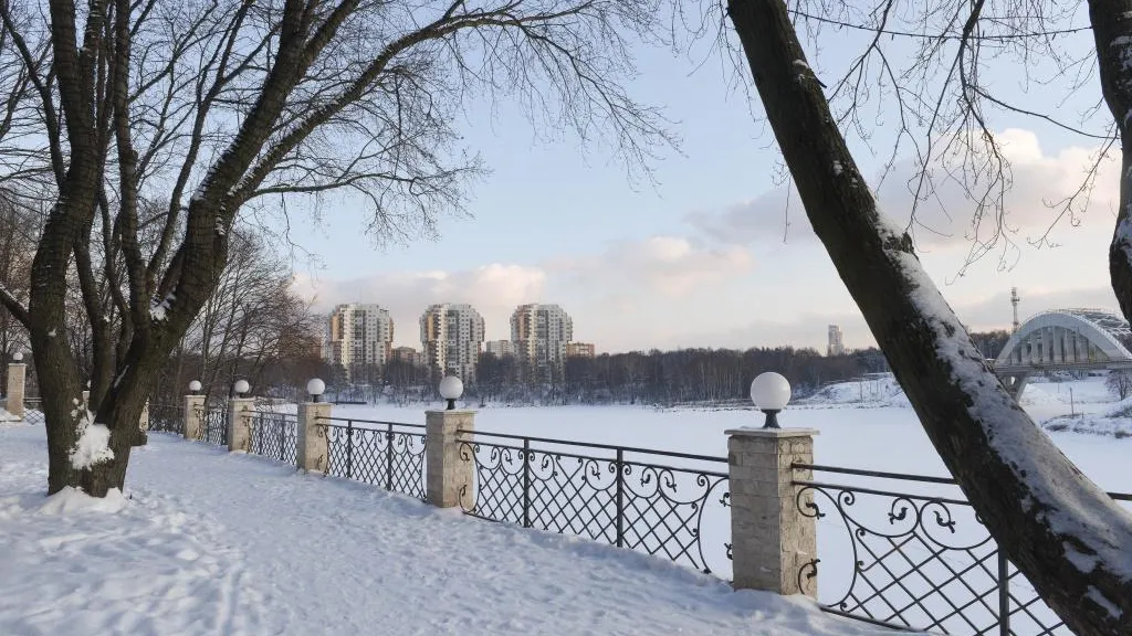 В Подмосковье подморозило до минус 20,8 градуса