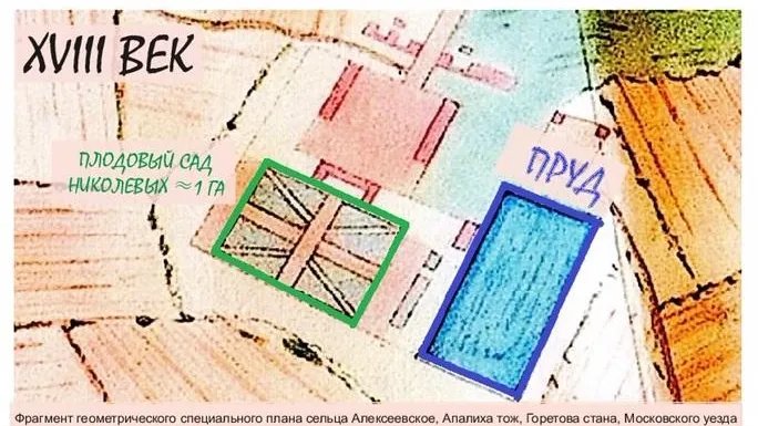 «Сити‑XXI век» опровергла информацию об уничтожении парка XVIII века в Опалихе