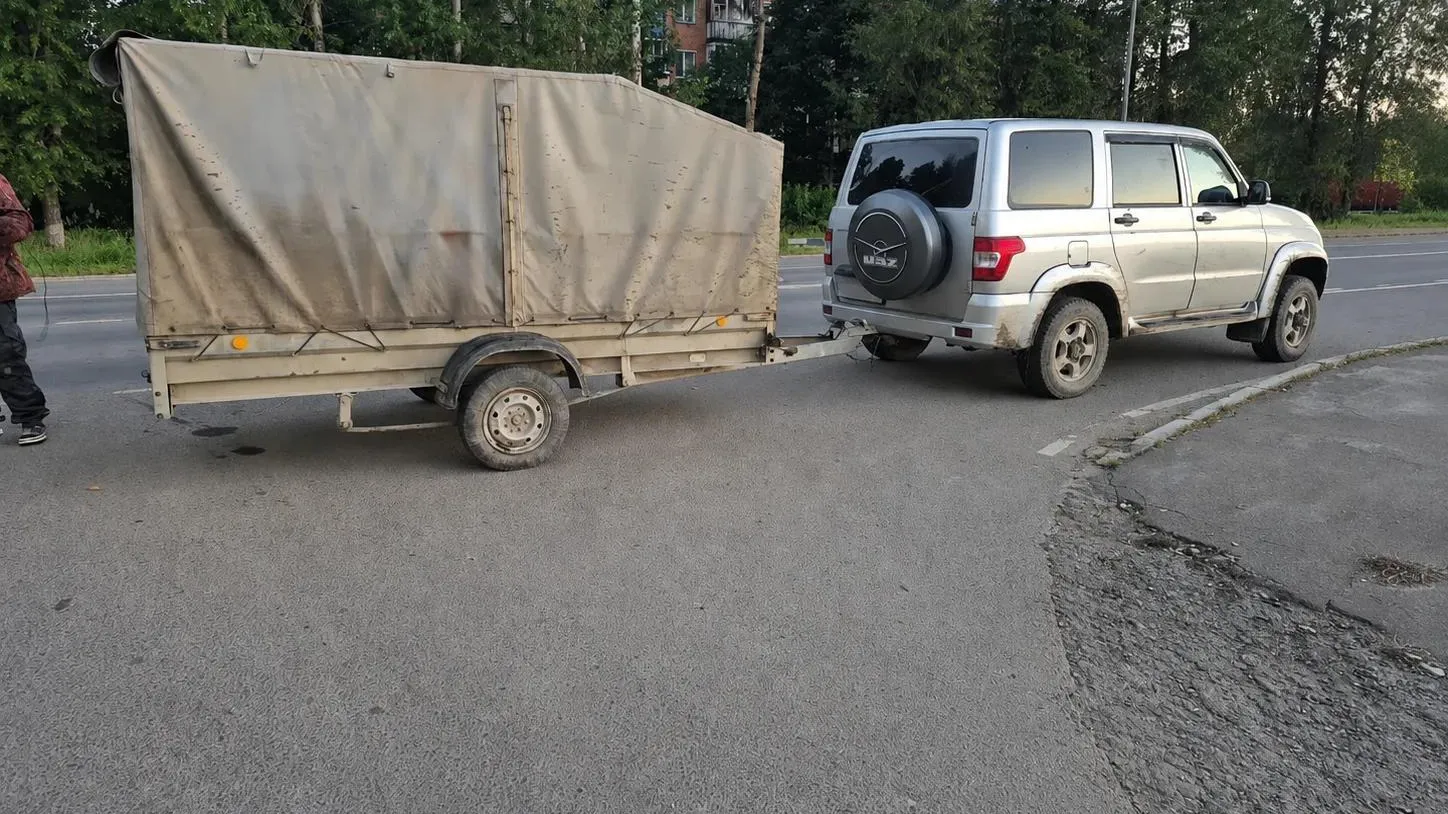 Егеря задержали за незаконную охоту на лося в Можайском округе