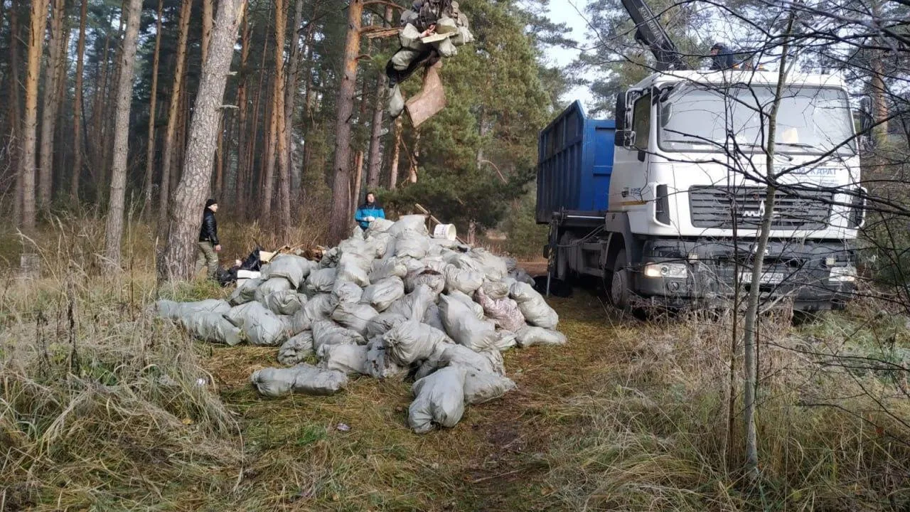 Более 200 навалов мусора убрали в лесах Подмосковья с начала года
