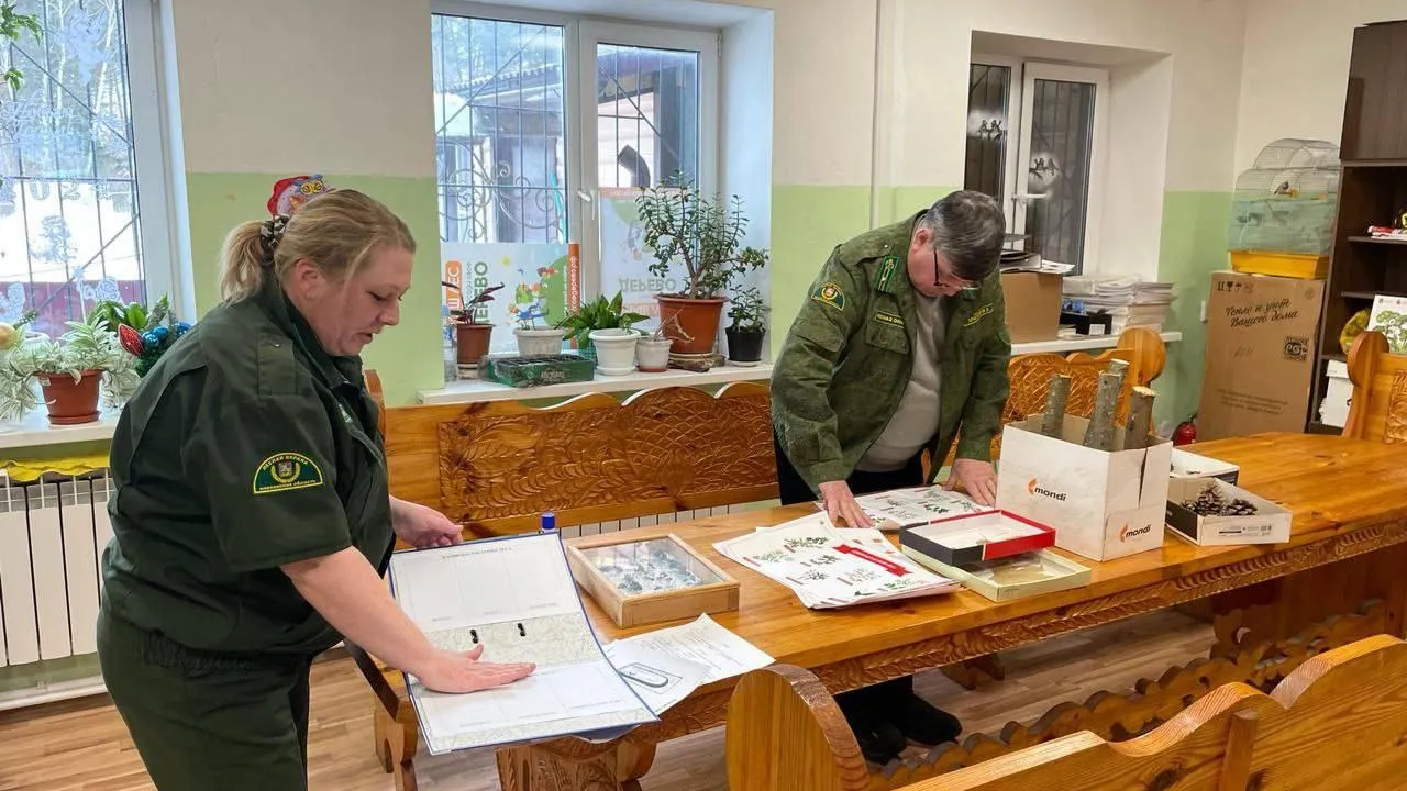 Слет 13 школьных лесничеств состоится в Подмосковье в марте