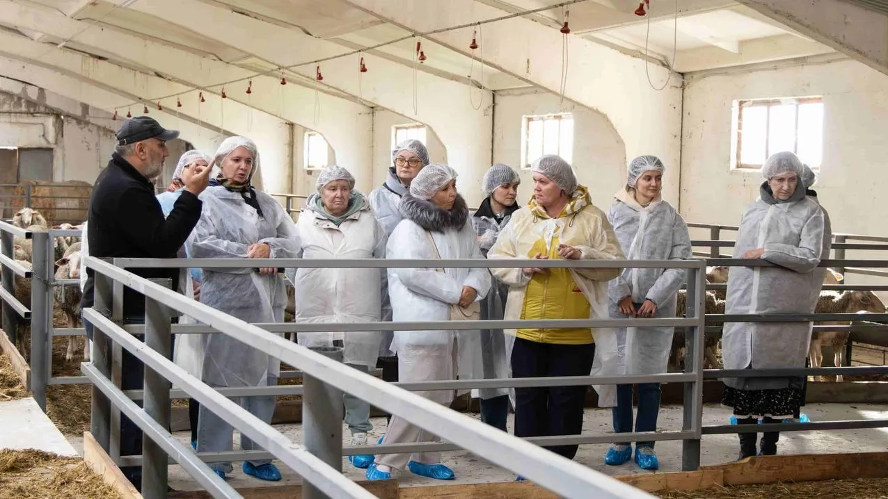 30 педагогов прошли повышение квалификации на животноводческом комплексе в Подмосковье