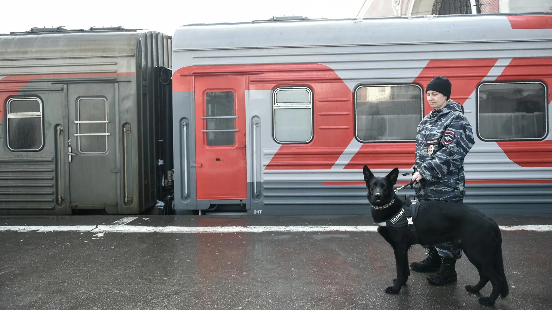 Удар ВСУ стал причиной остановки поезда Белгород – Санкт‑Петербург
