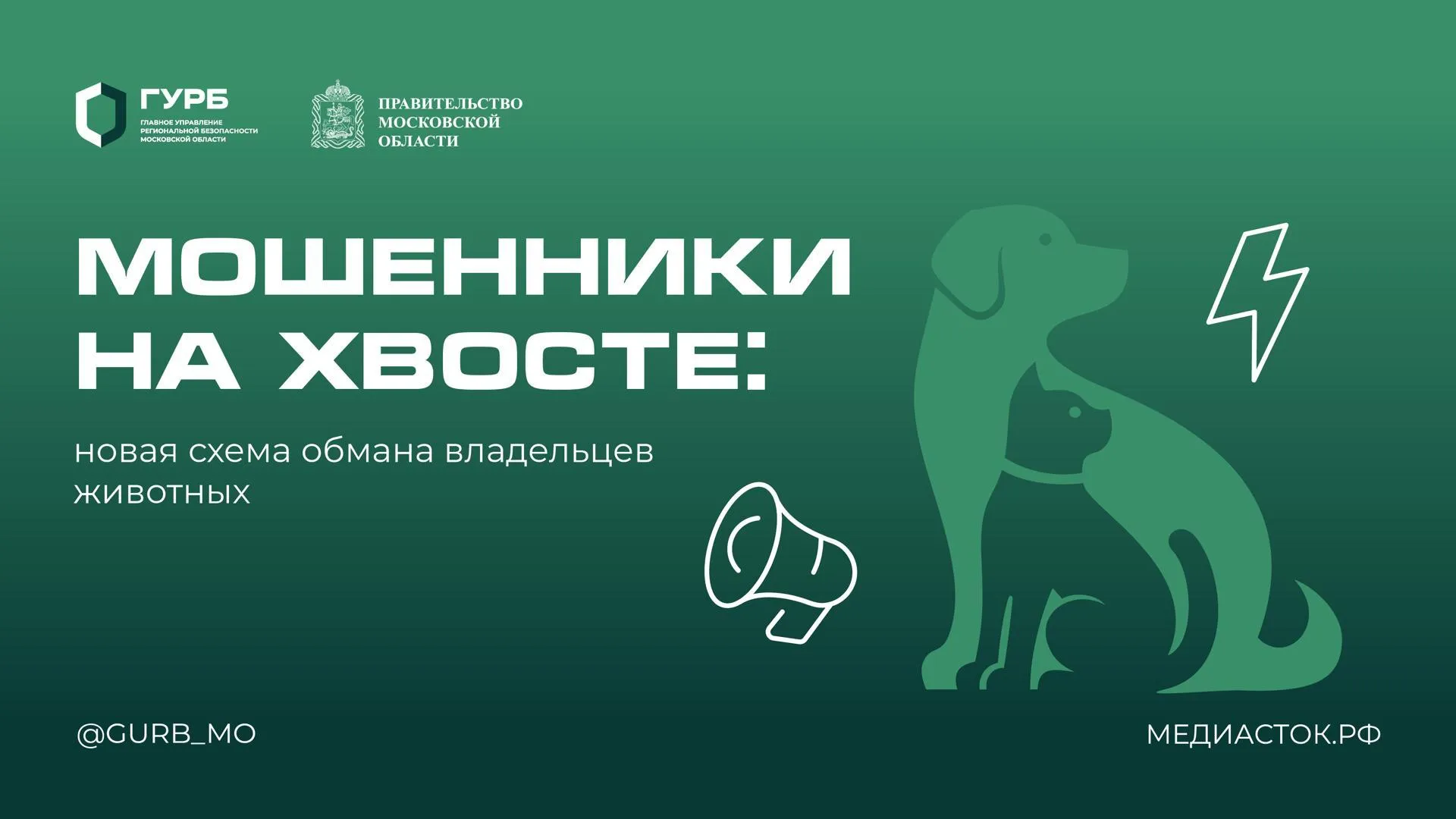 Мошенники начали вымогать деньги за «превышение лимита» домашних животных