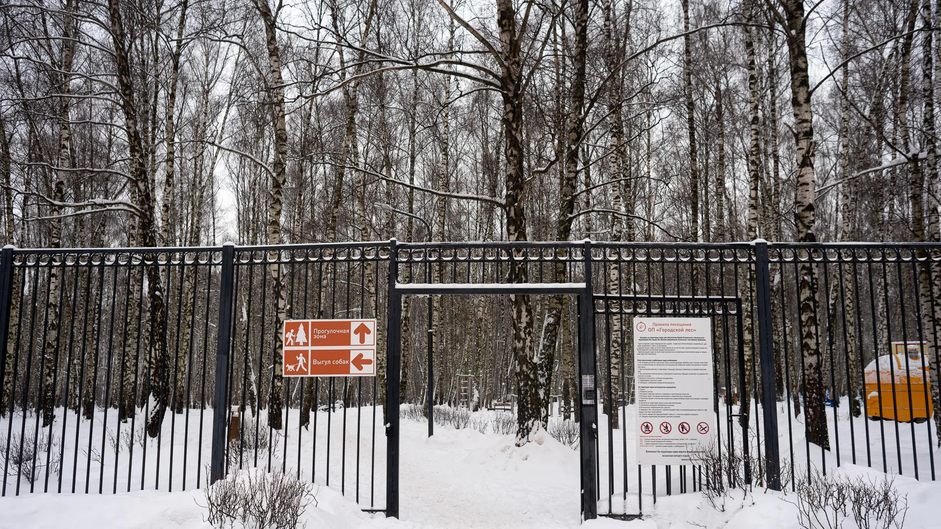 Более 72 тыс куб м снега вывезли из парков Подмосковья за неделю