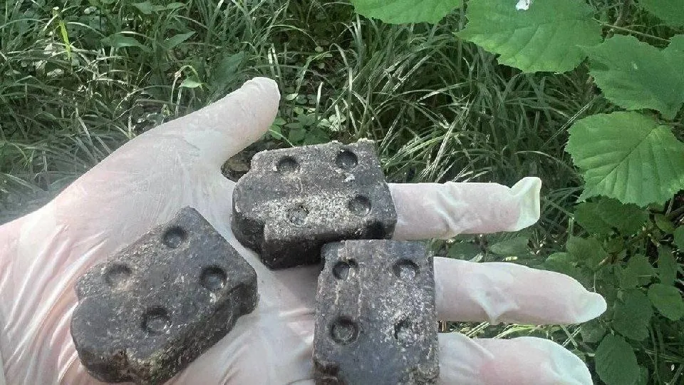 В парках Ленинского округа появилась вакцина для оральной иммунизации животных