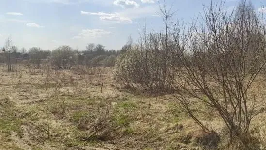 В Талдомском округе реализован на торгах самый бюджетный участок за неделю