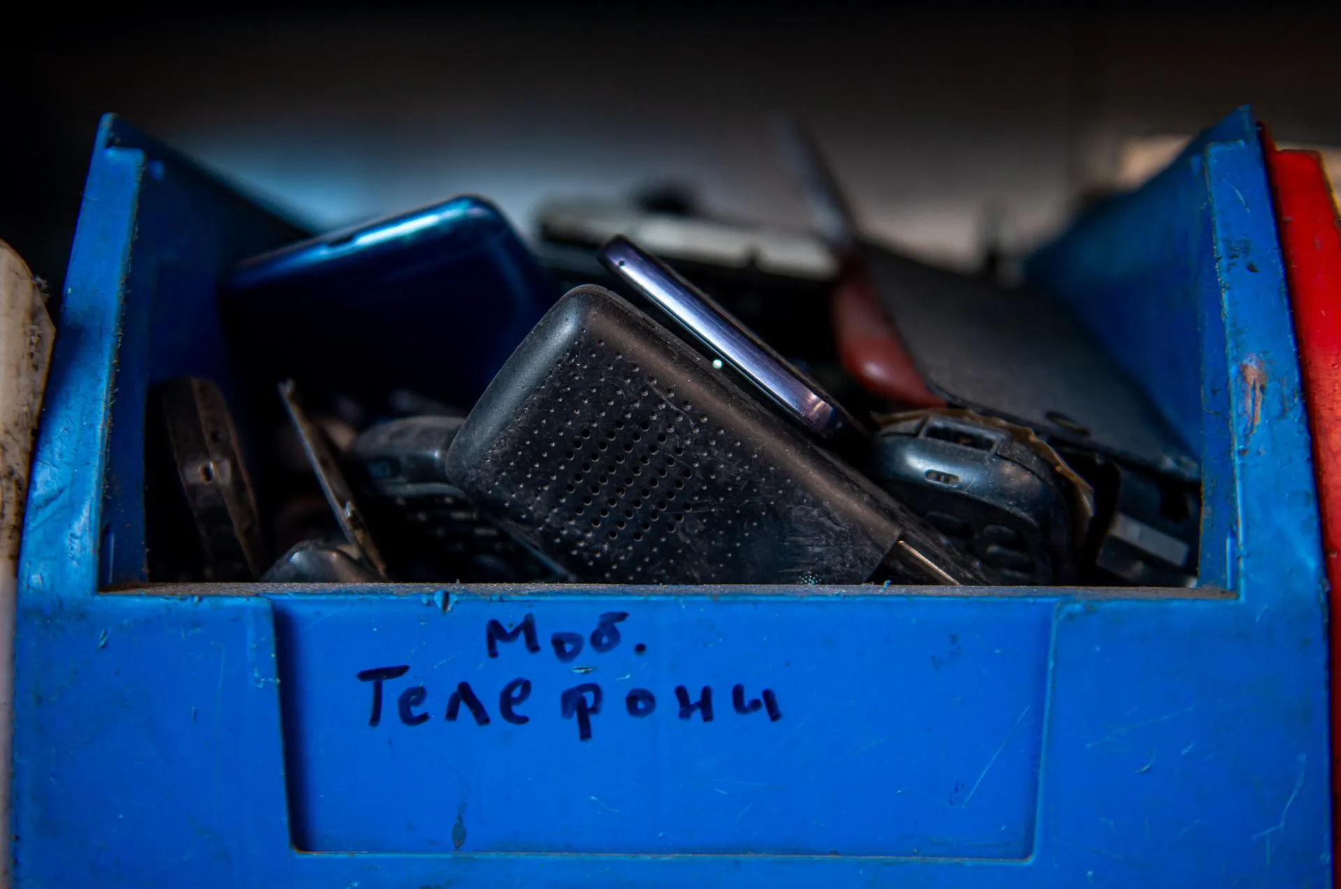 Мария Шуревская