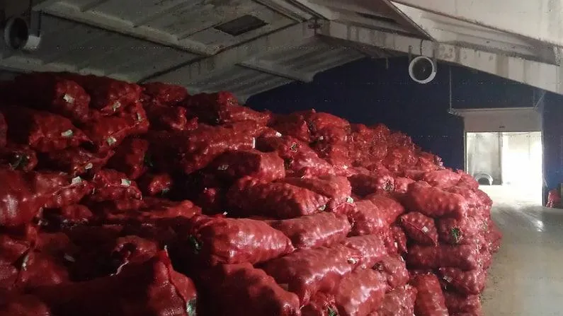 Овощехранилище и асфальтосмесительный завод построят в Подмосковье