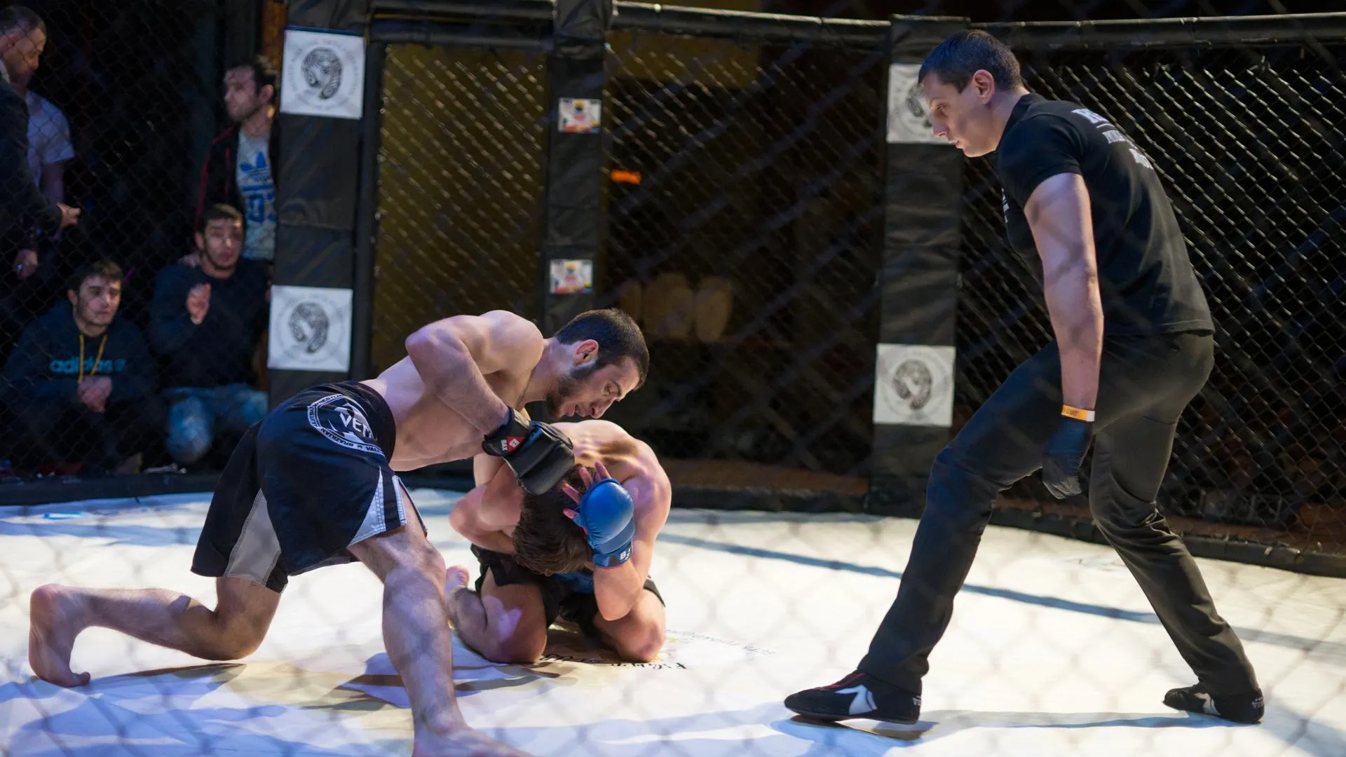 Международный чемпионат и первенство по MMA‑Free Fighting пройдут в Солнечногорске