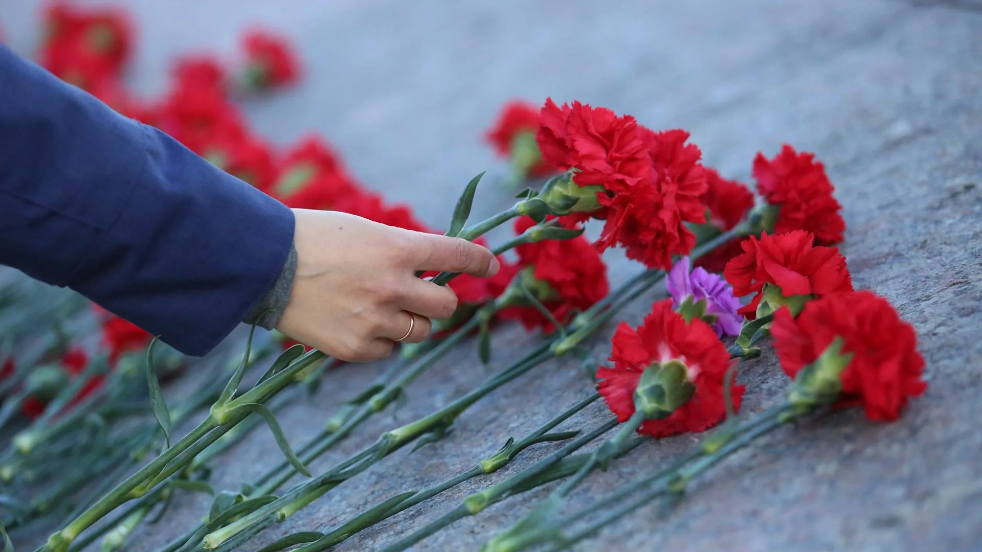 В Кашире открыли мемориальную доску в честь почетного гражданина Наталии Забигайло
