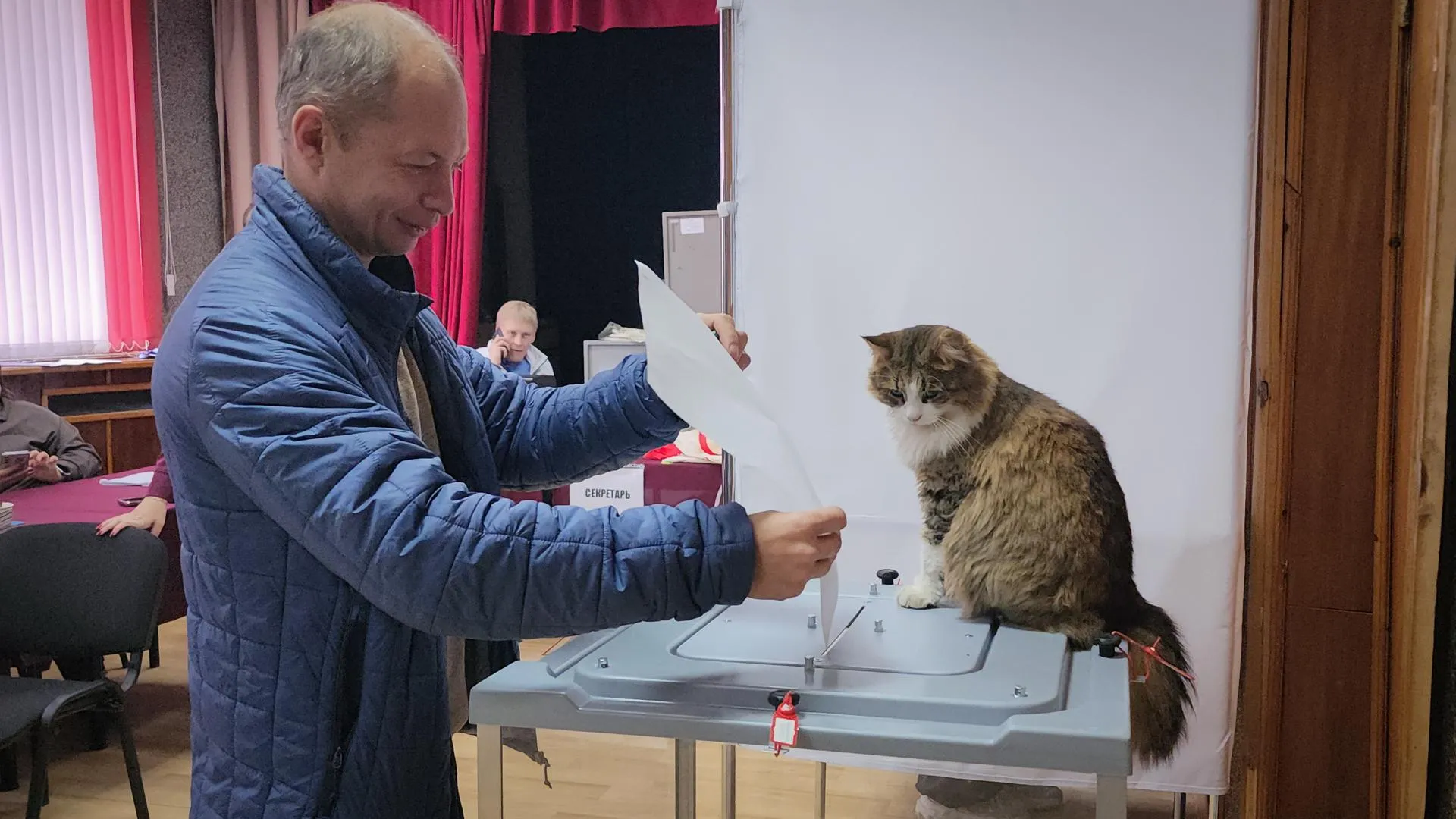 В Бронницах на участке № 92 за выборами следит пушистый талисман молодежного центра «Алиби»