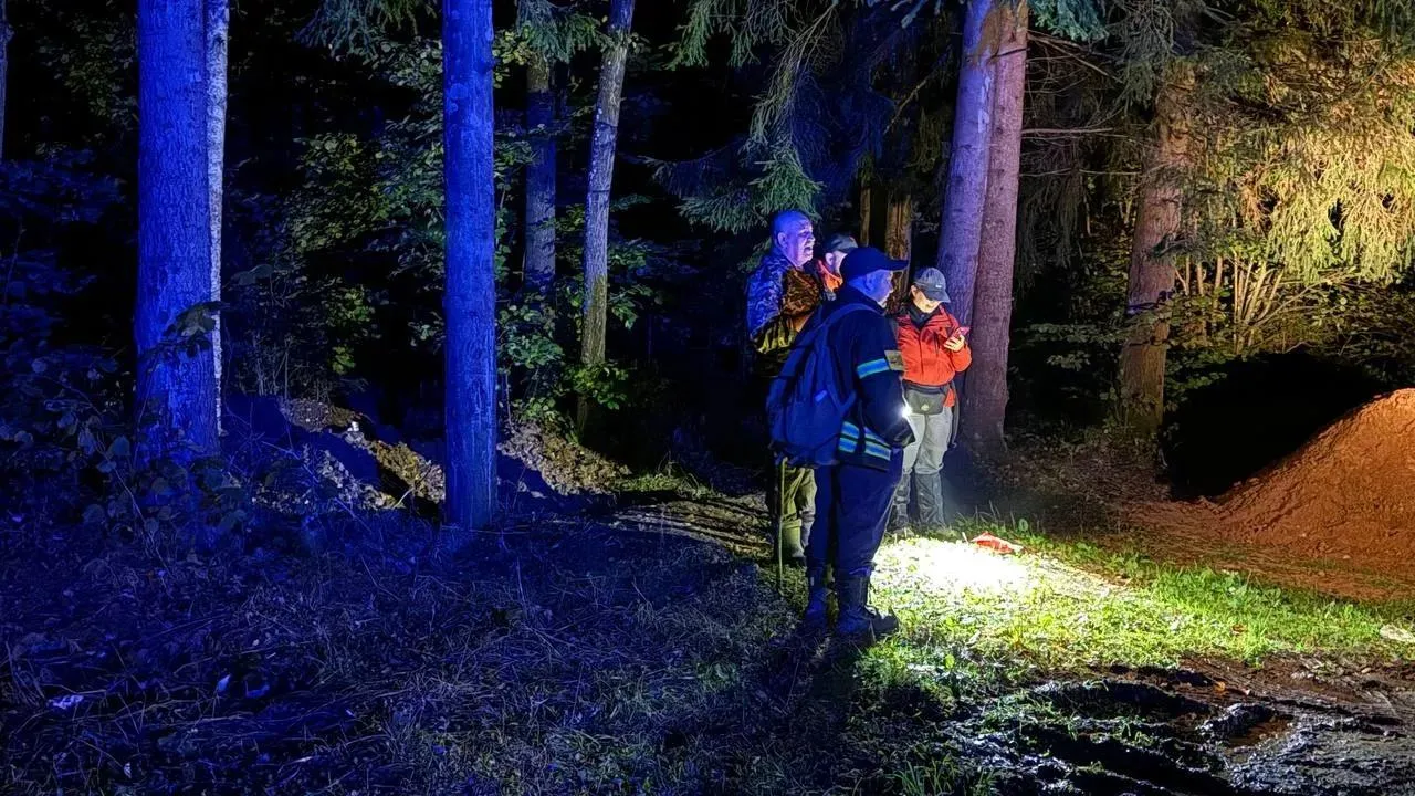 Спасатели нашли заблудившегося пенсионера в лесу Подольска