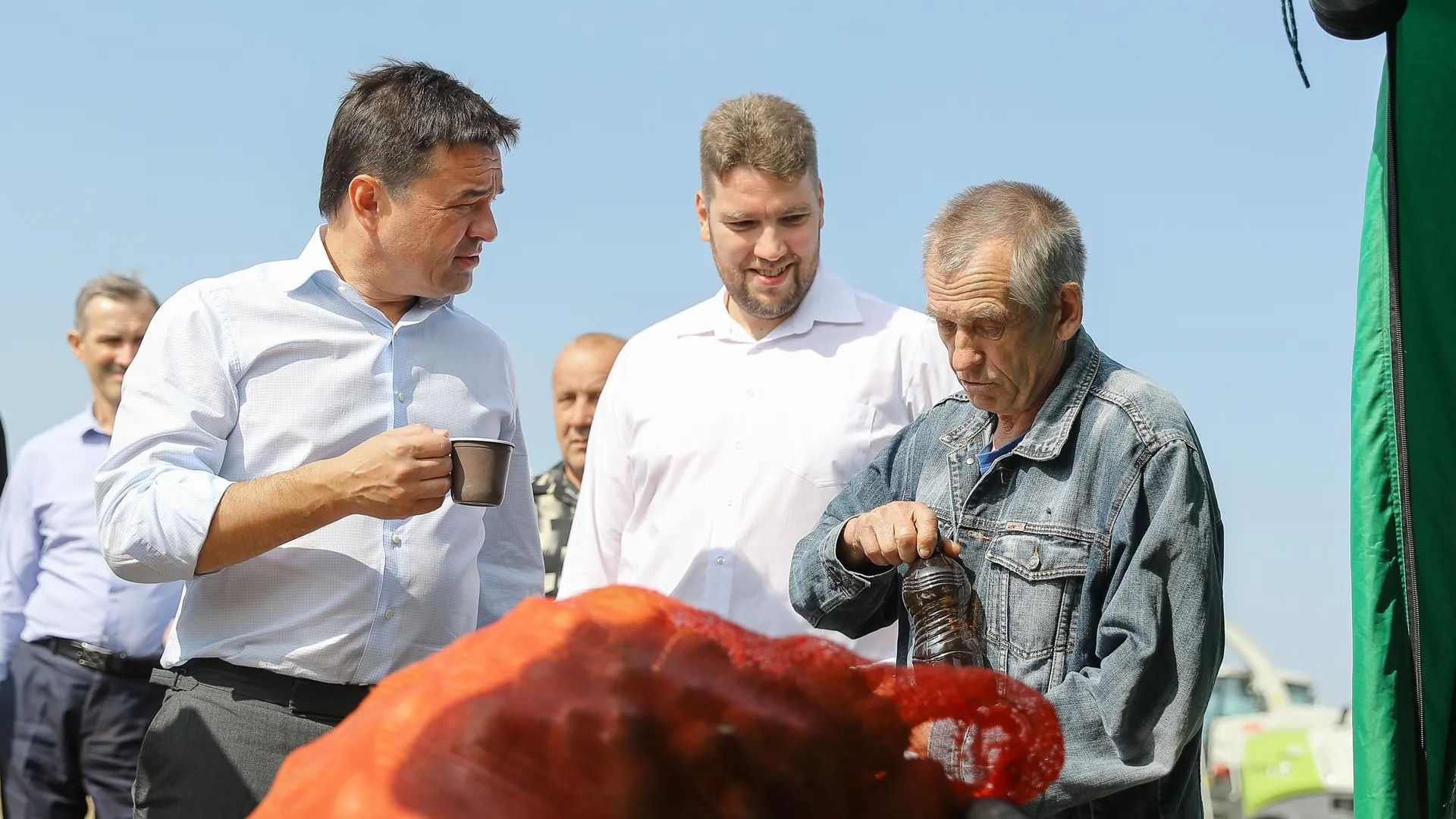 Урожайность кормовых культур в Подмосковье повысилась в 2019 году