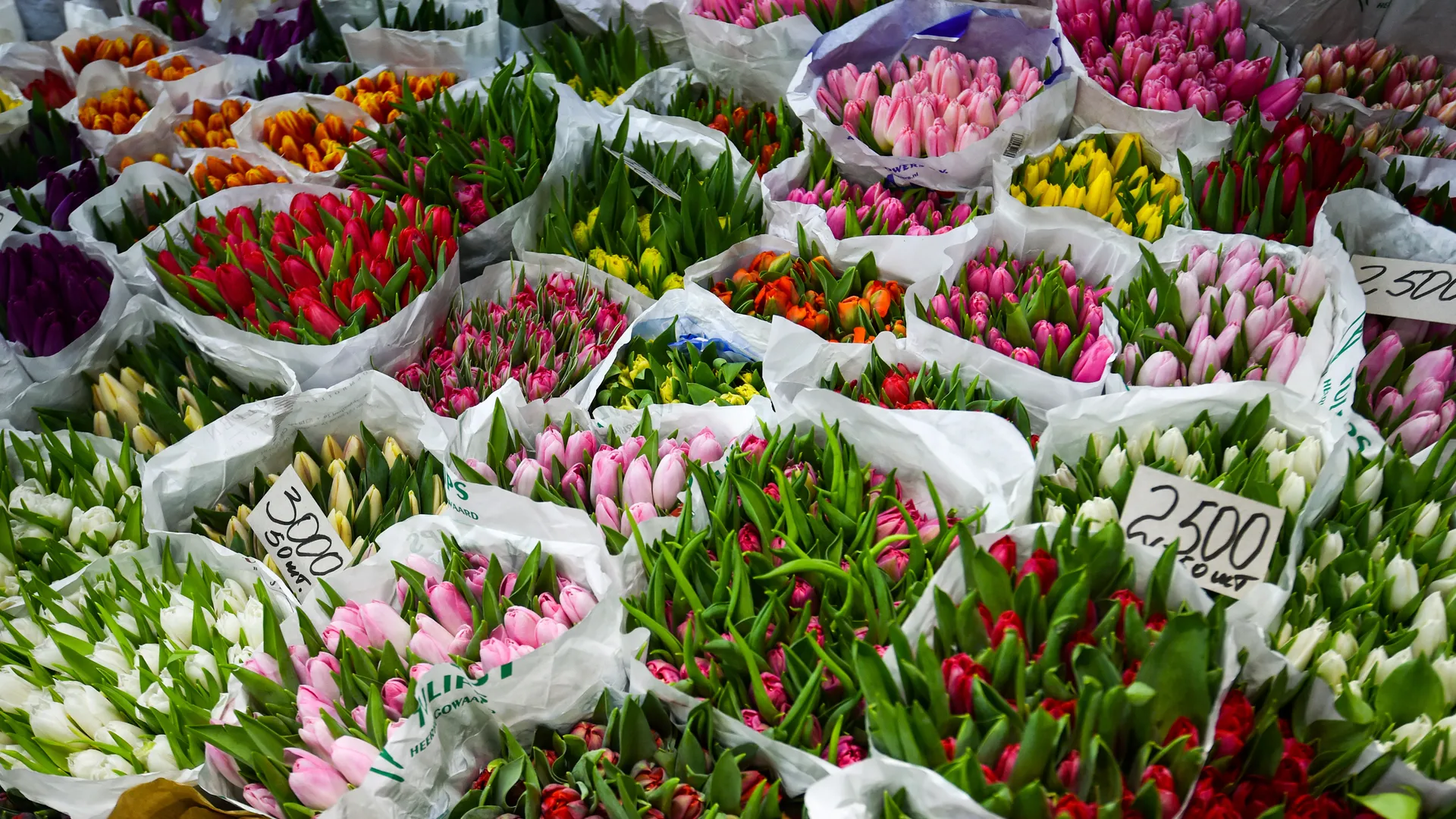 Аналитик Ульянов предупредил о мошенниках с цветами к 8 Марта