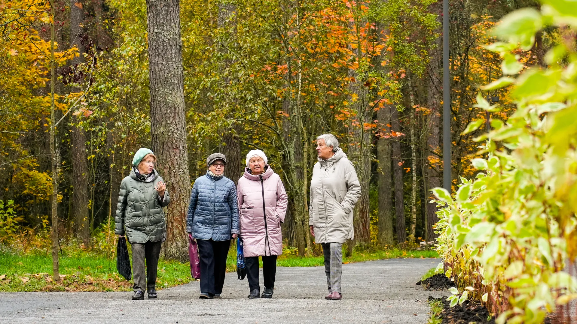 Стало известно, как пешие прогулки укрепляют иммунитет и снижают риск депрессии