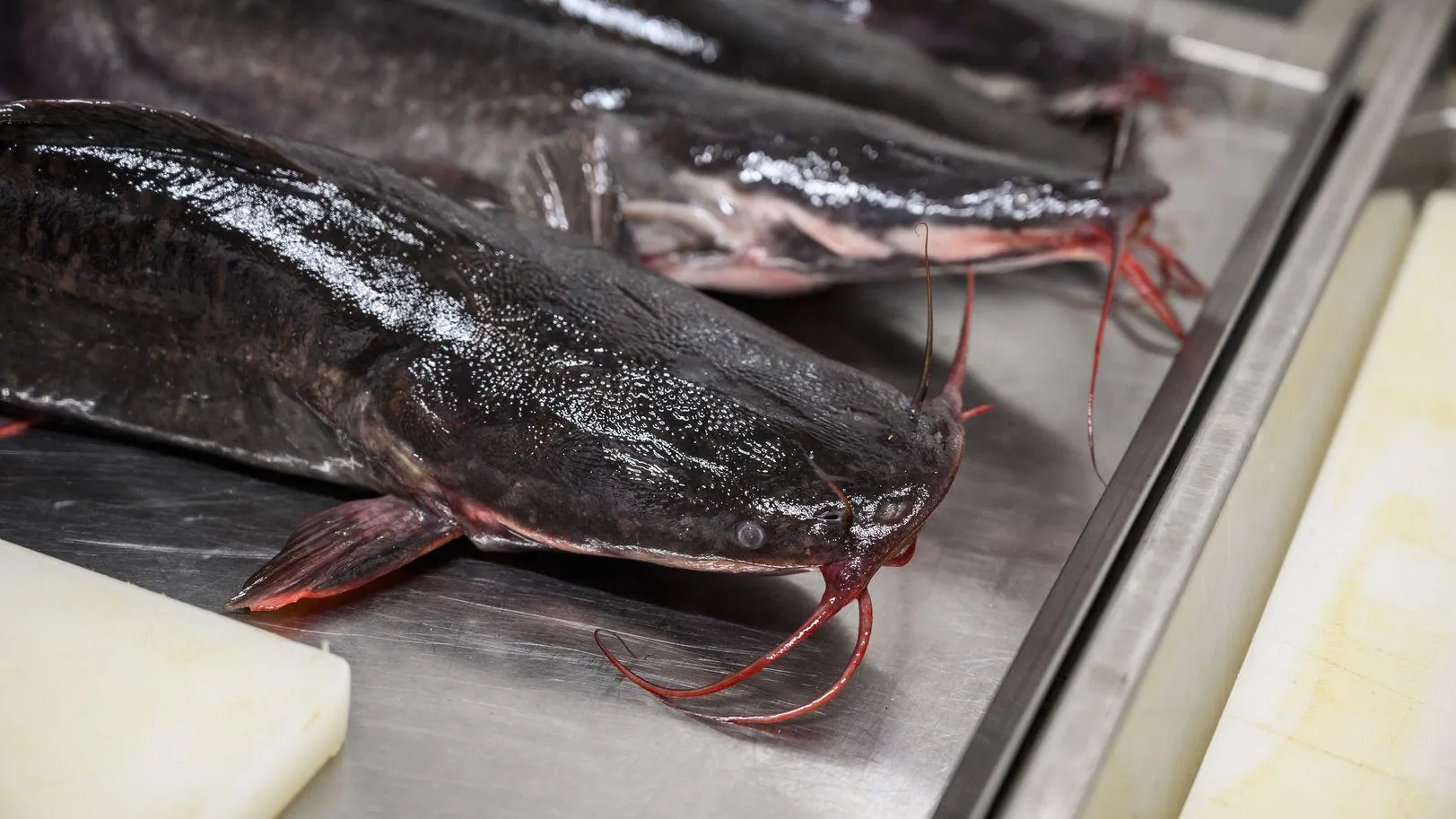 Подмосковные производители увеличили выпуск рыбной продукции к Старому Новому году