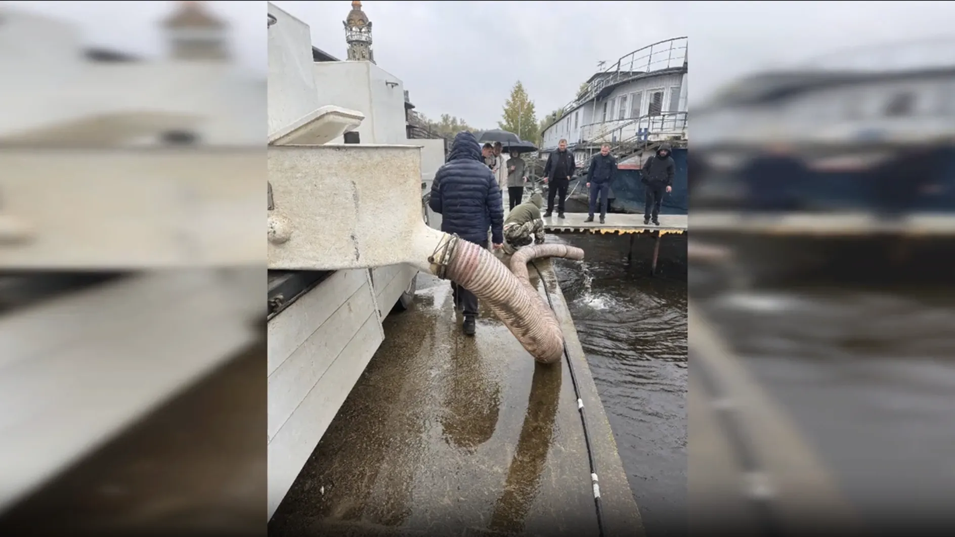 В Клязьминское водохранилище выпустили более 42 тыс мальков сазана