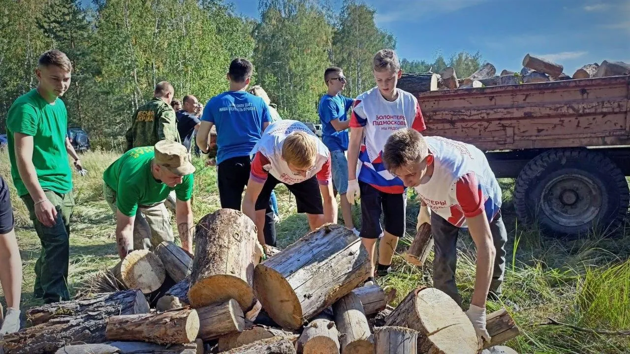 Экоакция «Чистый лес» состоится в Кашире 2 ноября