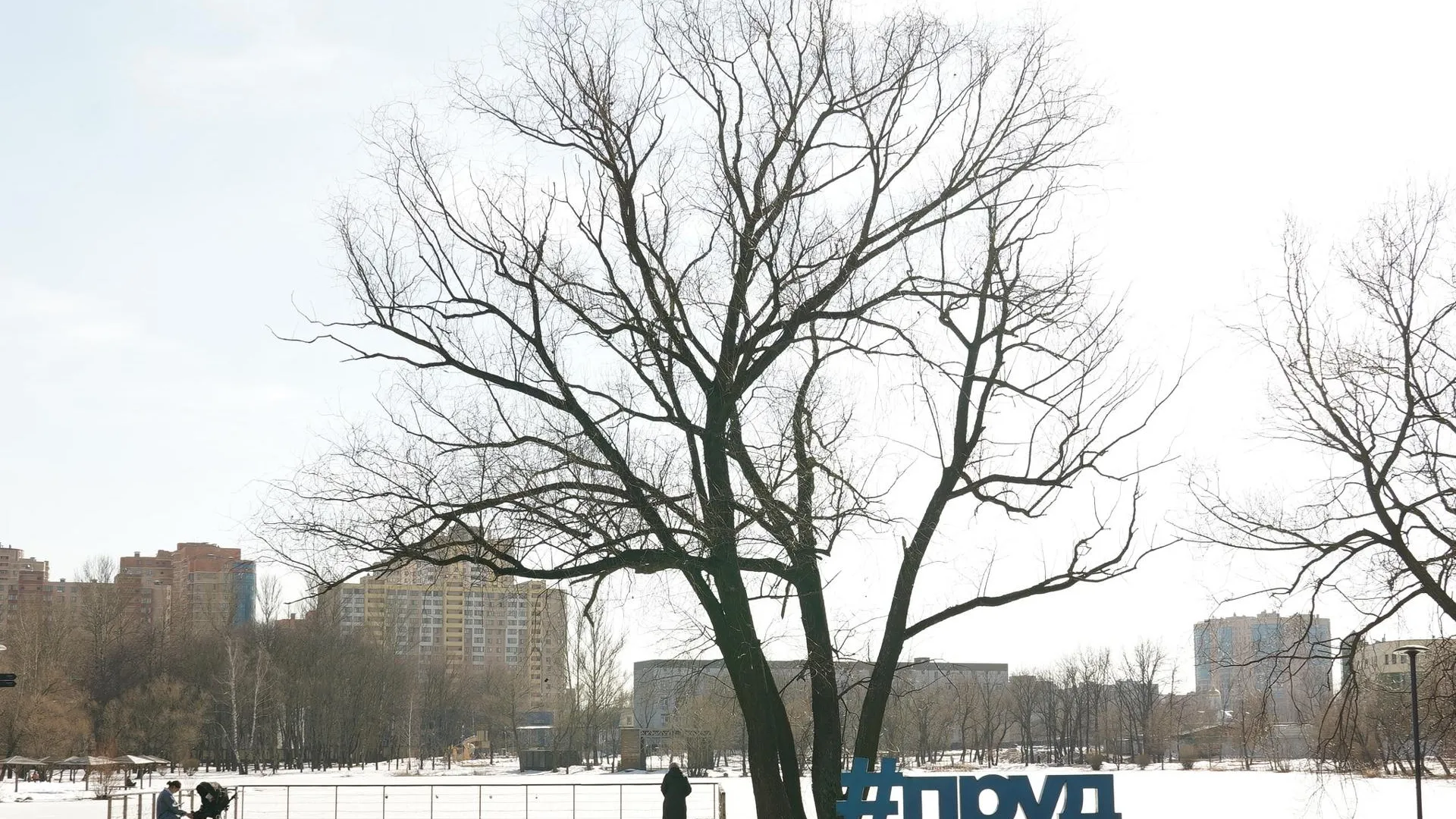 В Реутове провели рейд по безопасности на Фабричном пруду