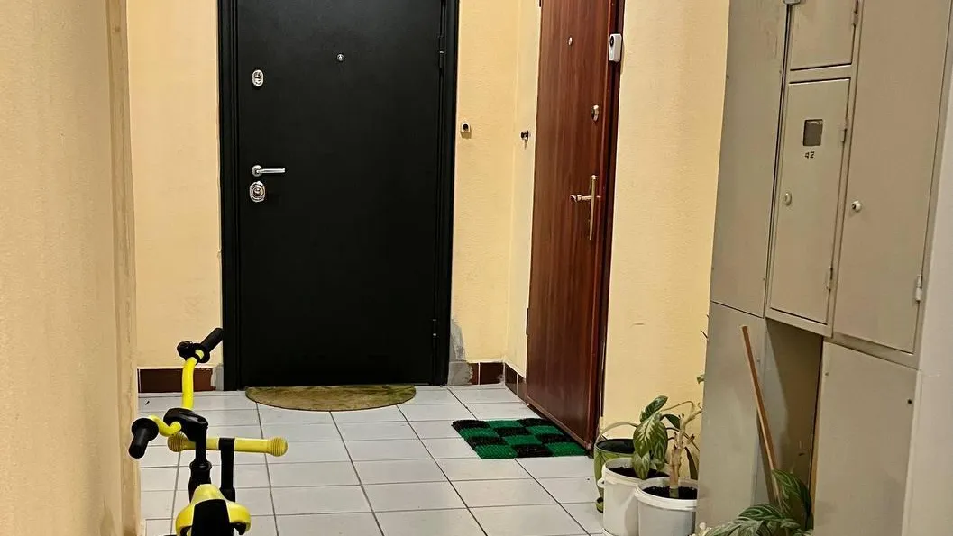 Более чем в 4,3 МКД Подмосковья устранили захламление мест общего пользования