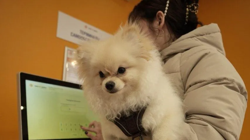 Жителям Подмосковья рассказали о сроках передачи показаний счетчиков в декабре