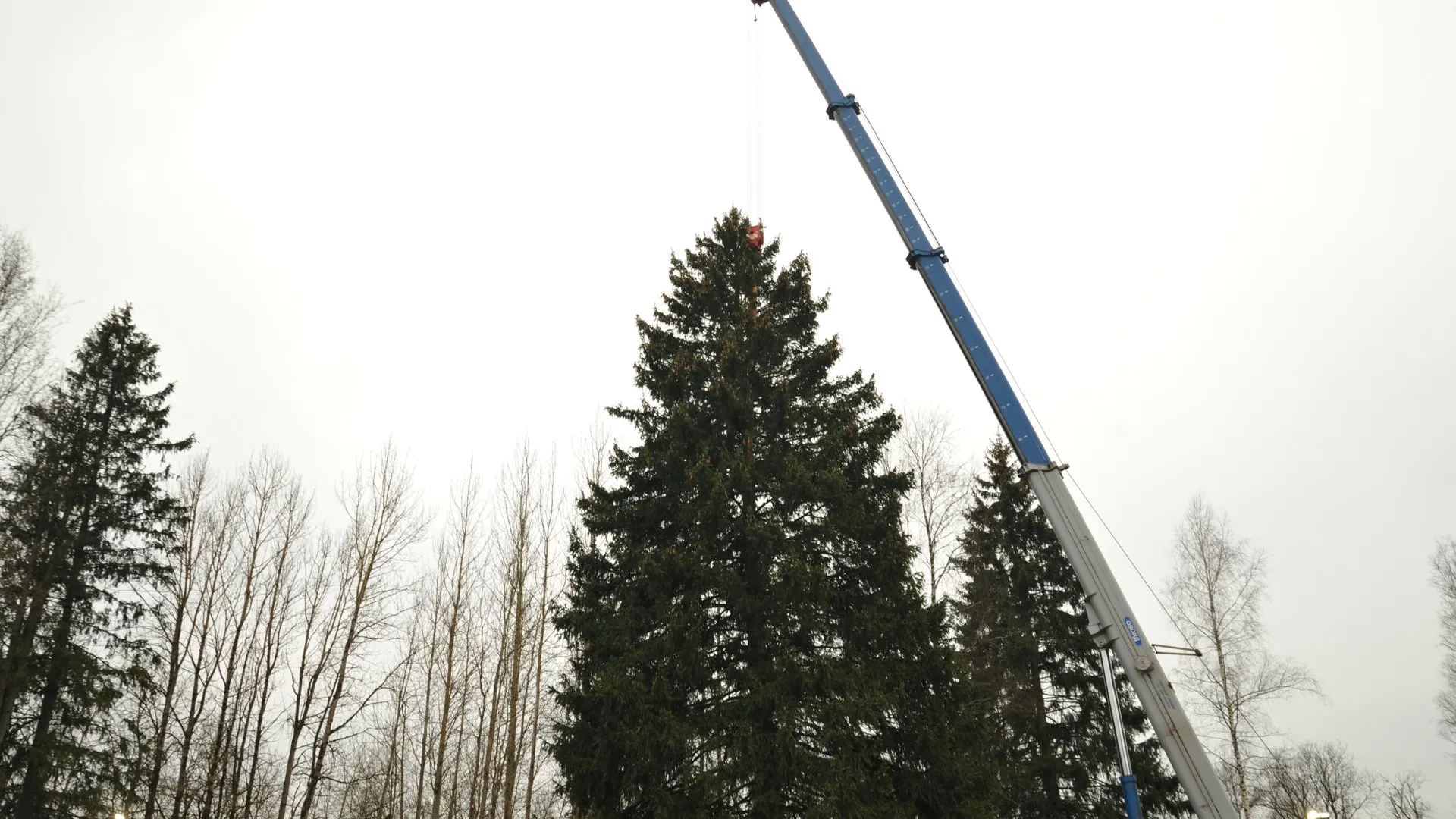 Сергей Дружинин, РИАМО