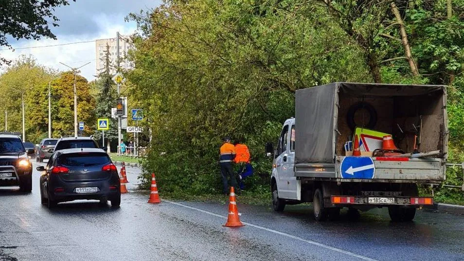 В Подольске убирают упавшие деревья и столбы освещения после сильного ветра с дождем