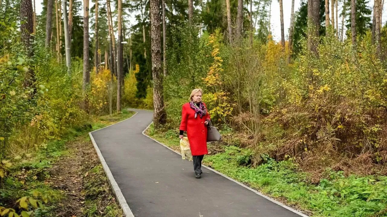 В Подмосковье по программе «Пешком» появилось еще 748 «народных троп»