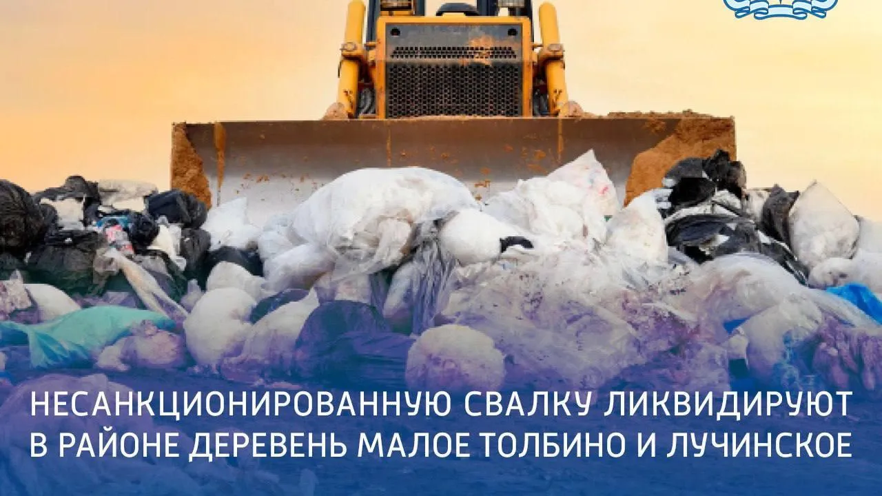 В Подольске уберут незаконную свалку в районе деревень Малое Толбино и Лучинское
