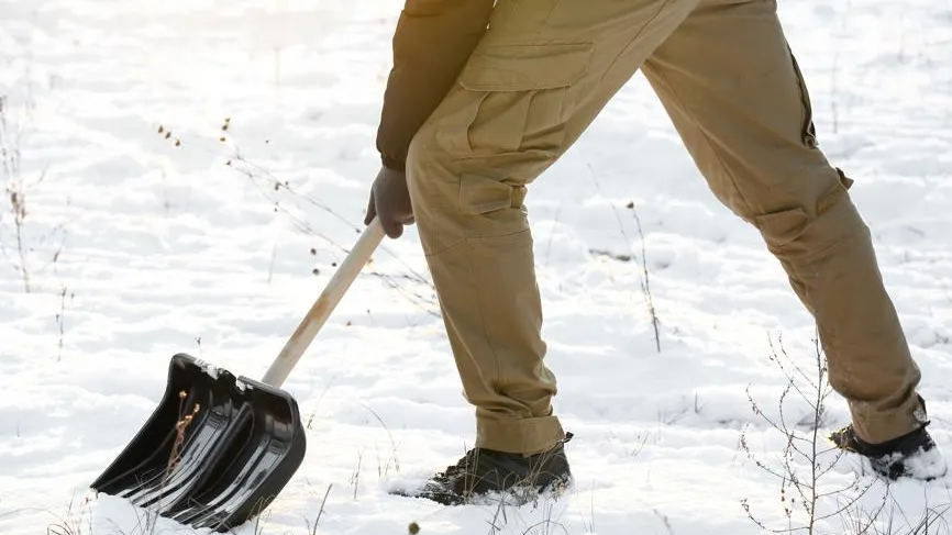 МВД: мошенники похищают деньги под предлогом помощи в уборке и вывозе снега