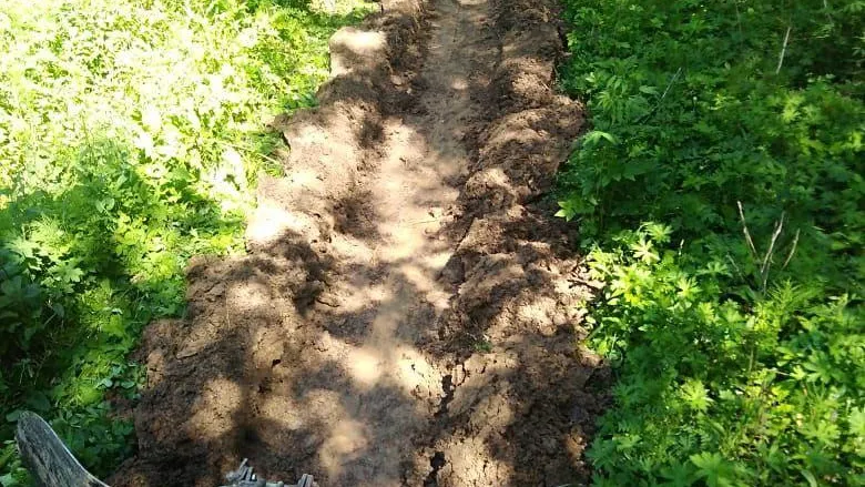 В 10 подмосковных лесничествах работы по устройству минполос выполнены на 100%