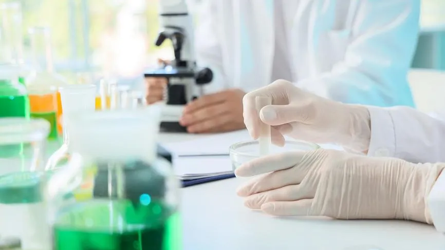 Pixel_shot / Фотобанк Лори