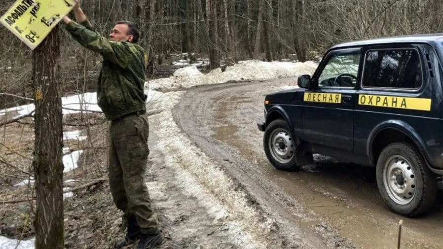 Более 1,2 тыс рекламных конструкций убрали в лесах Подмосковья с января