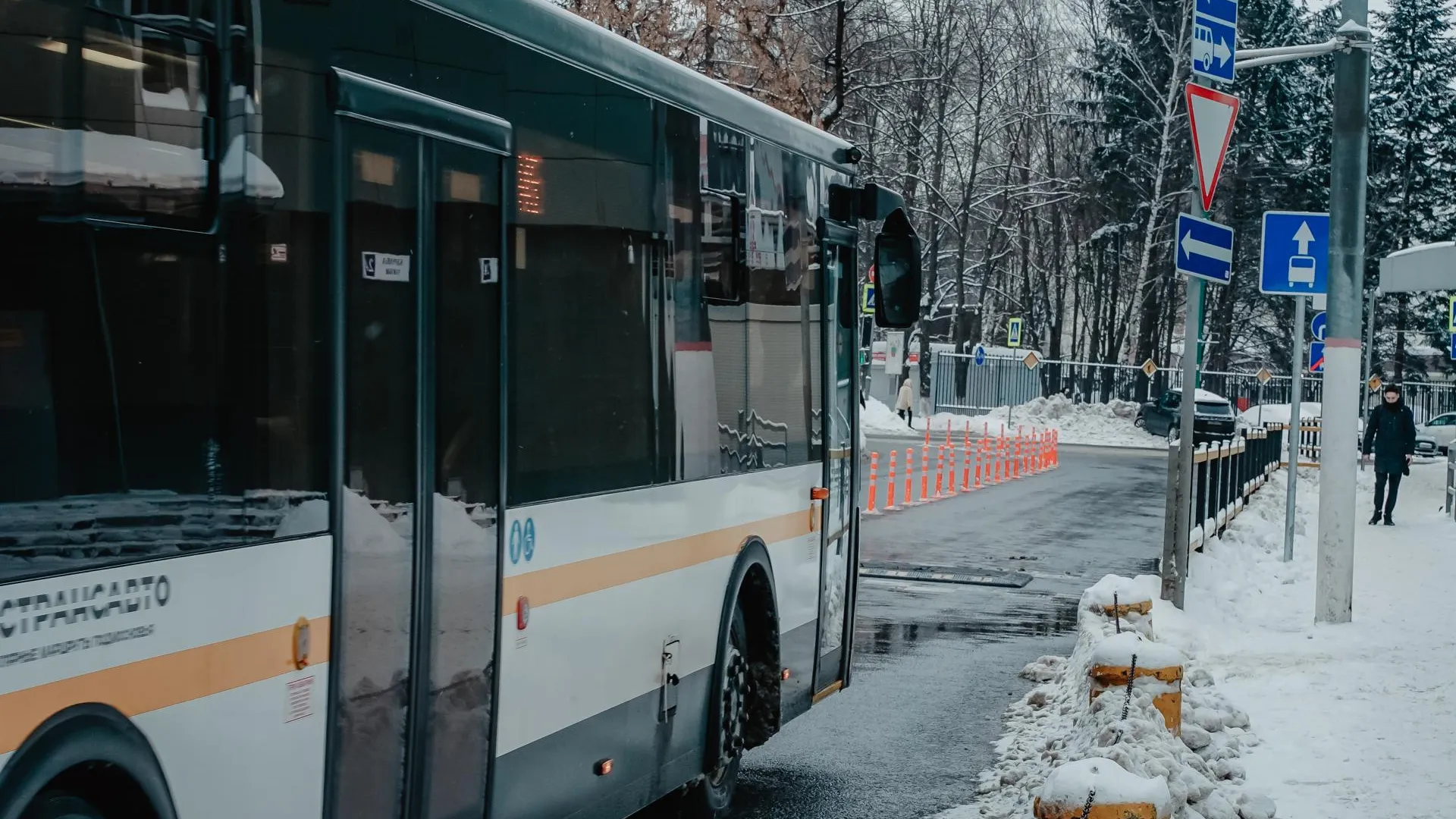 В Химках в этом году могут появиться еще 4 выделенных полосы