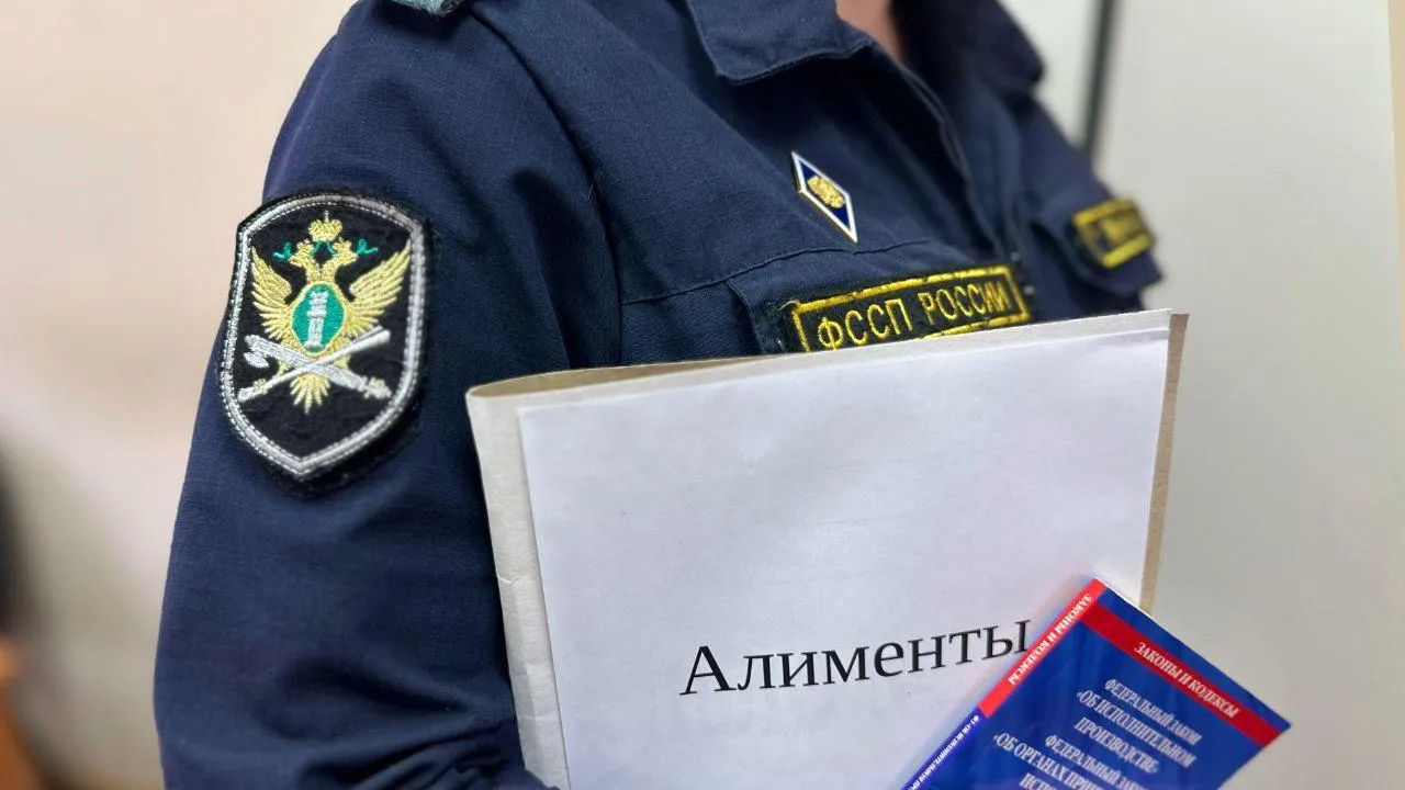 Приставы Подмосковья взыскали более 3 млрд руб алиментов за 10 месяцев 2025 года