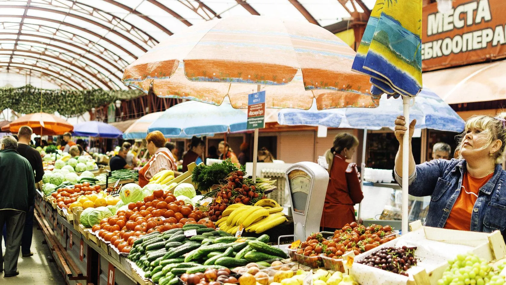 Дачники Подмосковья могут продавать собственную продукцию на 108 розничных рынках