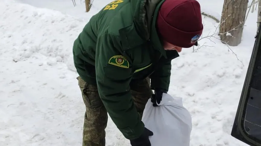 Незаконная свалка устранена в лесу Наро‑Фоминского округа