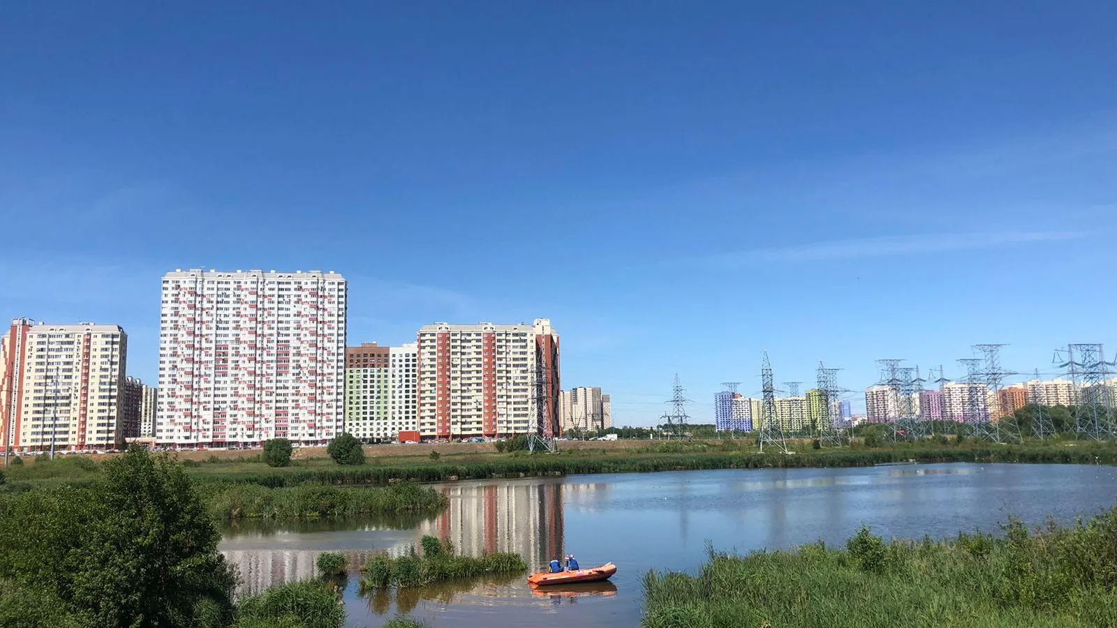 В Люберцах выясняют причины мора рыбы в Черном озере