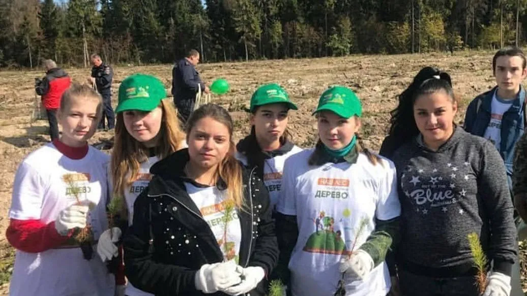 В Королеве открыли набор на специальность лесного хозяйства