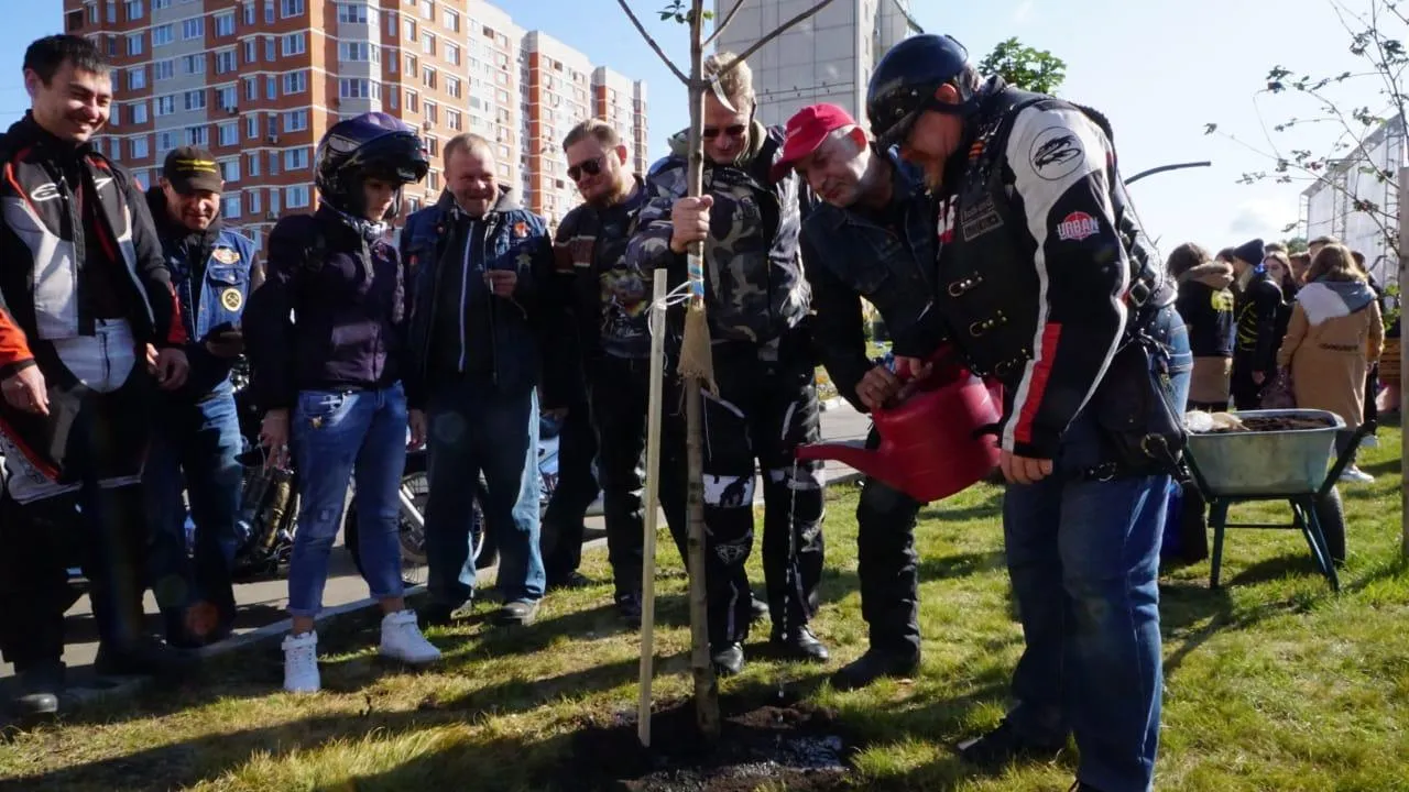 Каштаны и кусты чубушника посадили на бульваре Юности в Подольске в рамках акции «Наш лес»
