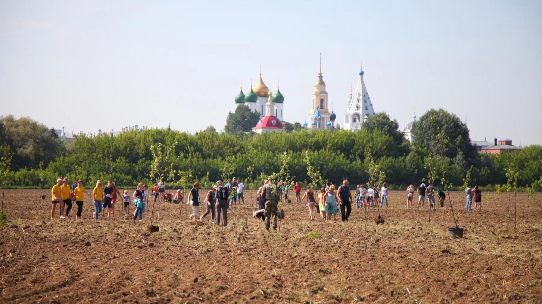 «Сад памяти» в честь героев Великой Отечественной войны посадили в Коломне