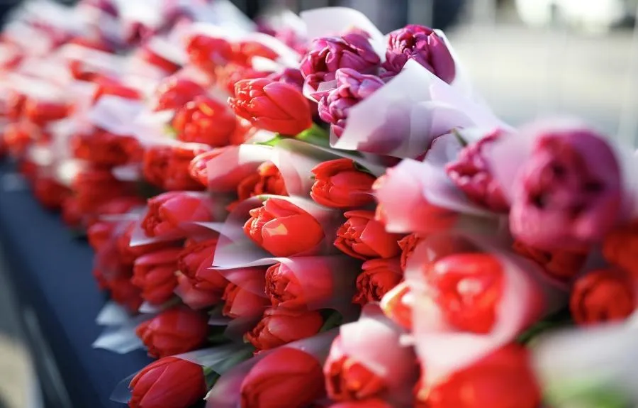 Виталий Тимкив